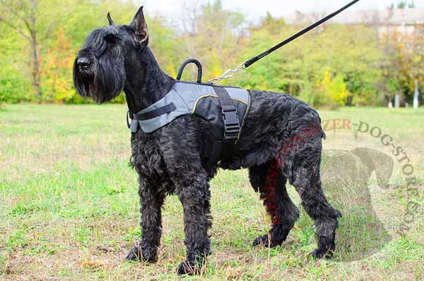 Nylon Vest Harness for Riesenschnauzer Healthy Recovery