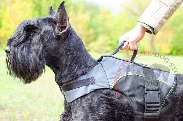 Riesenschnauzer Nylon Vest Harness with Easy in Use Quick Release Buckle