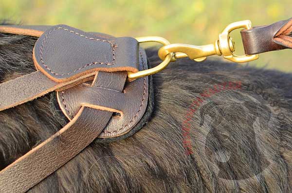 Rust Resistant D-ring for Quick Leash Attachment to Riesenschnauzer Harness