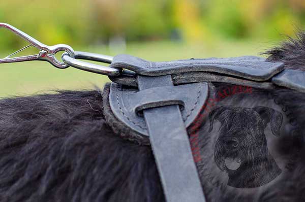 Silver-like D-ring Serves for Fast Leash Connection