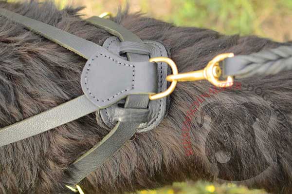 Back Plate with Stitched D-ring for Leash Attachment to Riesenschnauzer Harness