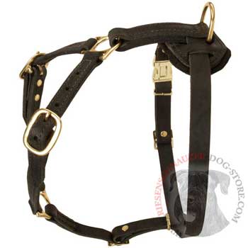 Tracking Leather Dog Harness for Riesenschnauzer