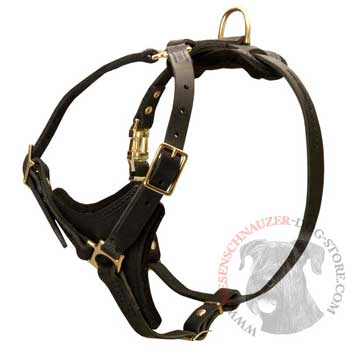 Riesenschnauzer Harness Black Leather with Padded Chest Plate for Training
