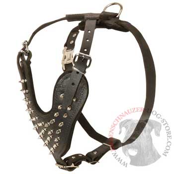 Spiked Leather Harness for Riesenschnauzer Walking