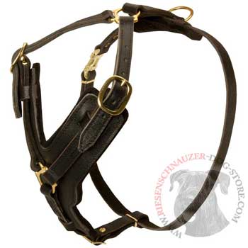 Comfortable Y-Shaped Leather Harness for Riesenschnauzer Attack  Training