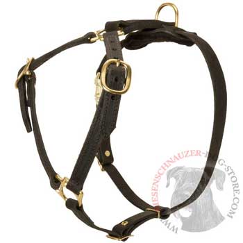 Leather Riesenschnauzer Harness Light Weight Y-Shaped for Tracking Dog