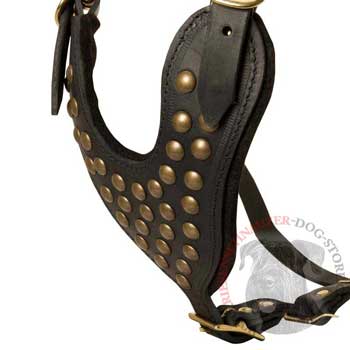 Studded Black Leather CHest Plate for Riesenschnauzer Comfort