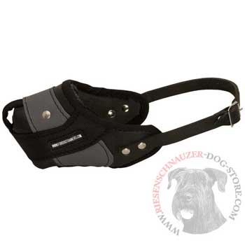 Riesenschnauzer Muzzle Leather and Nylon for Walking and Training