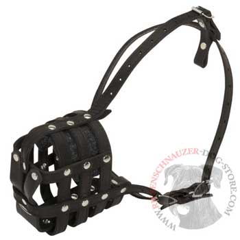 Leather Cage Riesenschnauzer Muzzle Padded