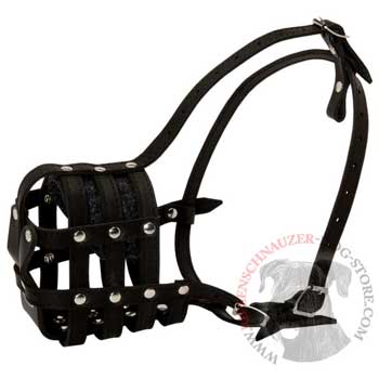 Riesenschnauzer Muzzle Leather Cage for Daily Walking