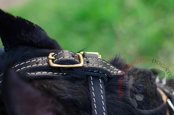 Easy-to-adjust Riesenschnauzer muzzle of padded leather