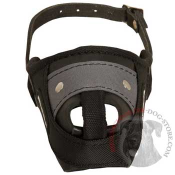 Nylon and Leather Riesenschnauzer Muzzle with Steel Bar for Protection Training
