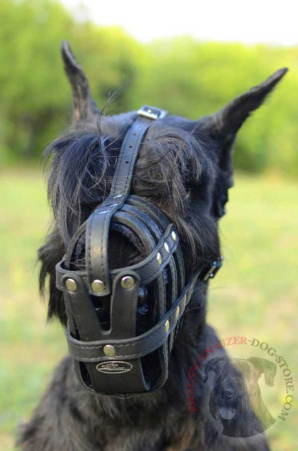 Leather Basket Muzzle for Riesenschnauzer Free Breathing