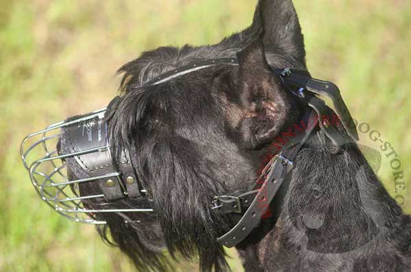 Wire Basket Muzzle for Riesenschnauzer with Durable Leather Straps