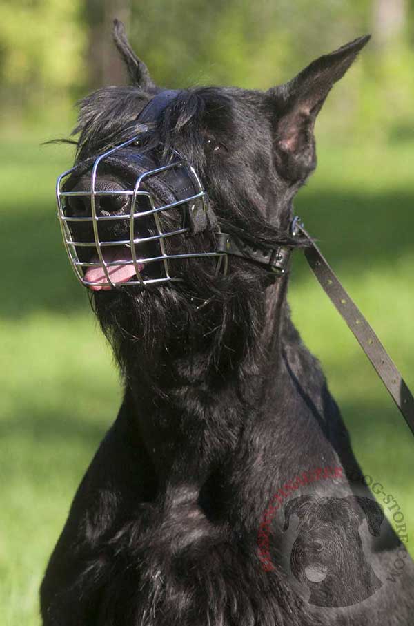 Riesenschnauzer Wire Cage Muzzle Allows Barking and Panting