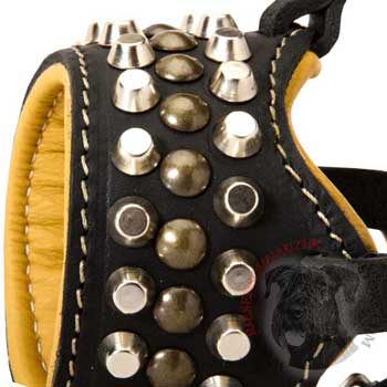 Nappa Leather Padded Riesenschnauzer for Dog Walking