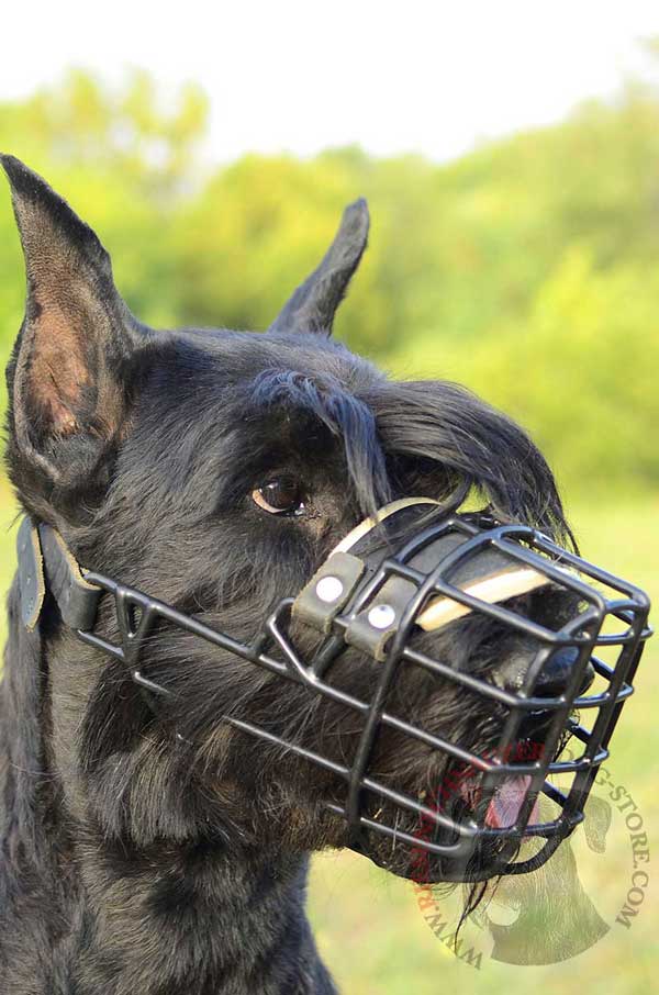 Easily Adjustable Wire Cage Riesenschnauzer Muzzle with Soft Padding