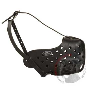 Safe Leather Muzzle for Riesenschnauzer Walking