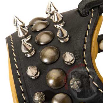 Riesenschnauzer Muzzle Leather Black with Spikes and Studs