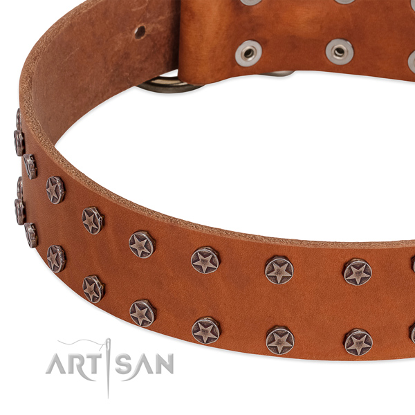 Top notch full grain leather dog collar for daily walking