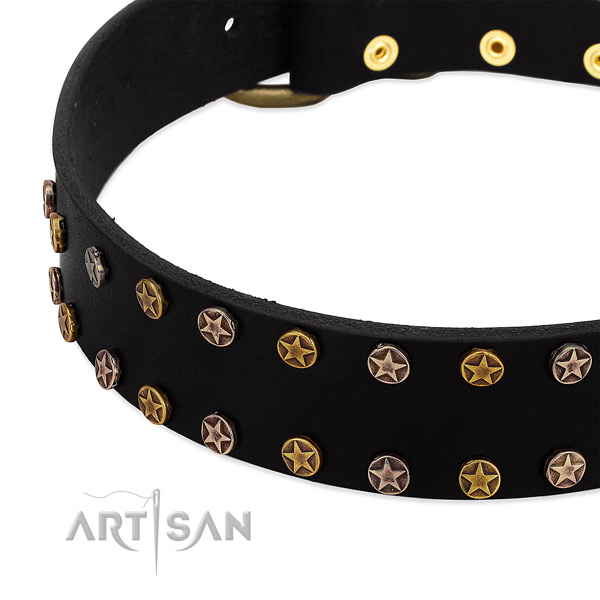 Remarkable decorations on leather collar for your doggie