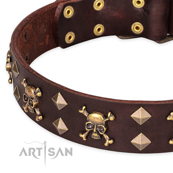 Daily walking studded dog collar of finest quality full grain leather