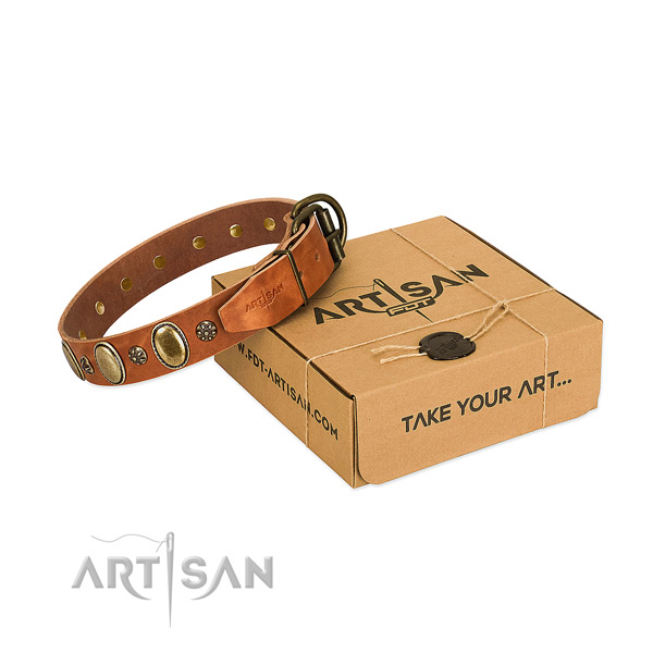 Everyday use soft to touch full grain leather dog collar with studs