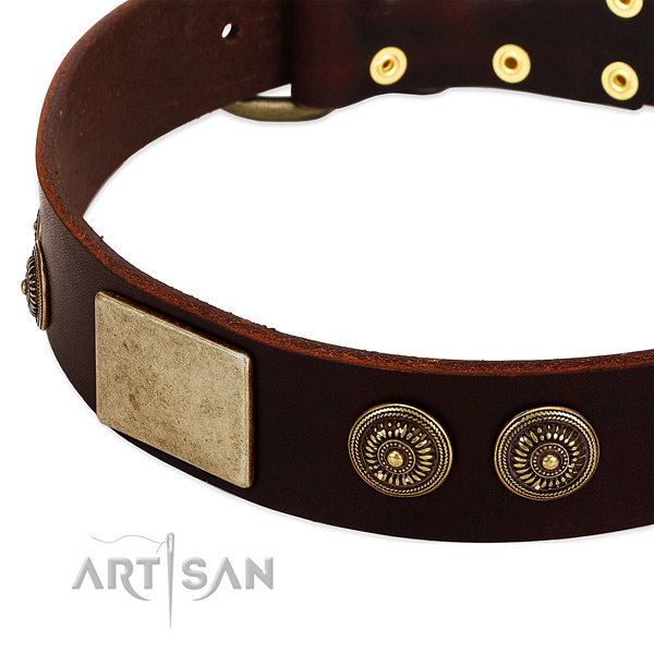 Rust-proof adornments on genuine leather dog collar for your pet