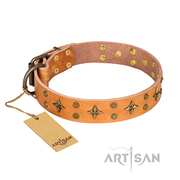 Everyday use dog collar of reliable full grain leather with studs