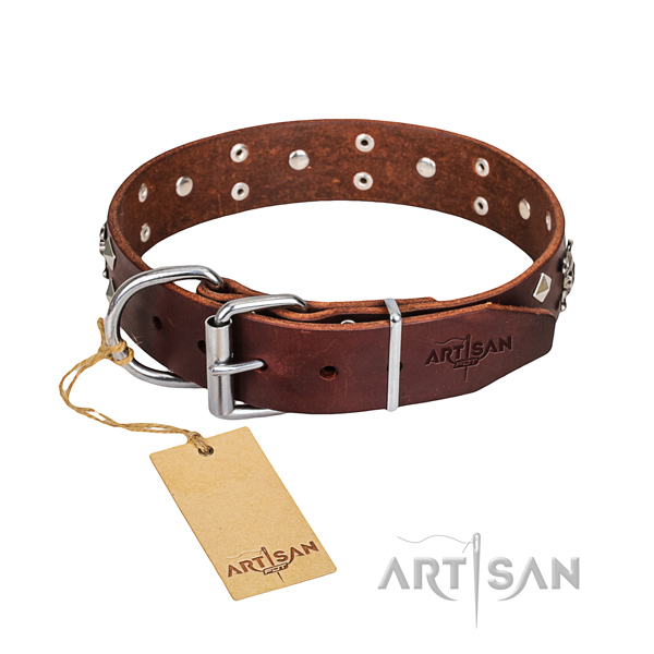 Daily use dog collar of high quality full grain leather with embellishments