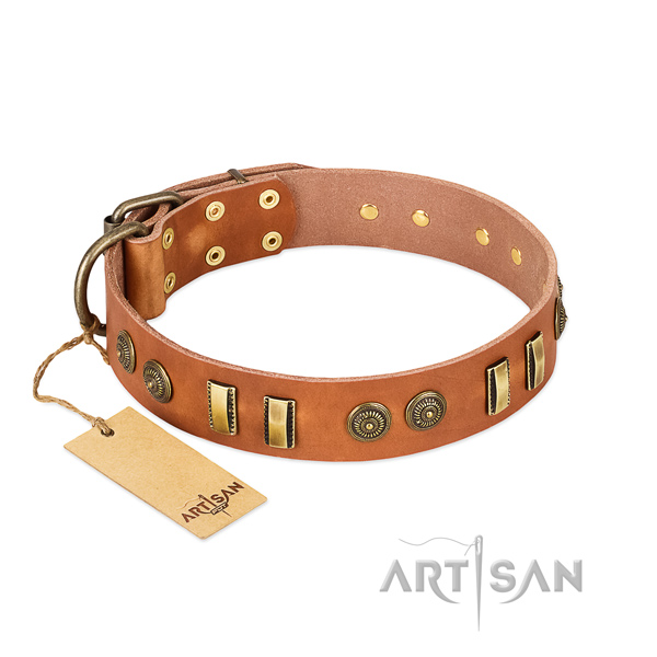 Corrosion proof fittings on full grain genuine leather dog collar for your pet