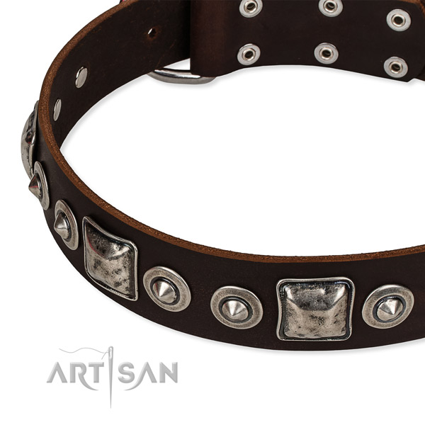 Full grain leather dog collar made of flexible material with adornments