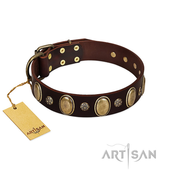 Easy wearing top rate full grain natural leather dog collar with adornments