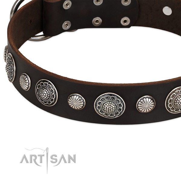 Natural leather collar with rust resistant fittings for your stylish four-legged friend