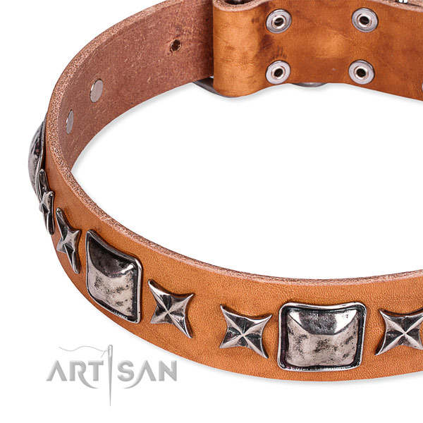 Everyday use embellished dog collar of durable full grain natural leather