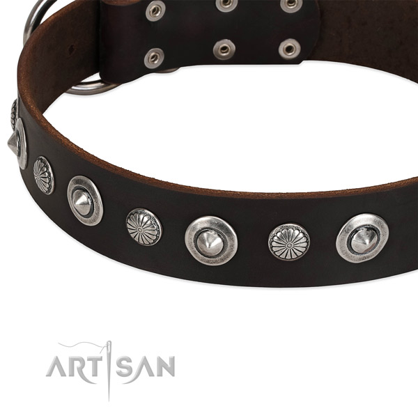 Significant studded dog collar of reliable genuine leather