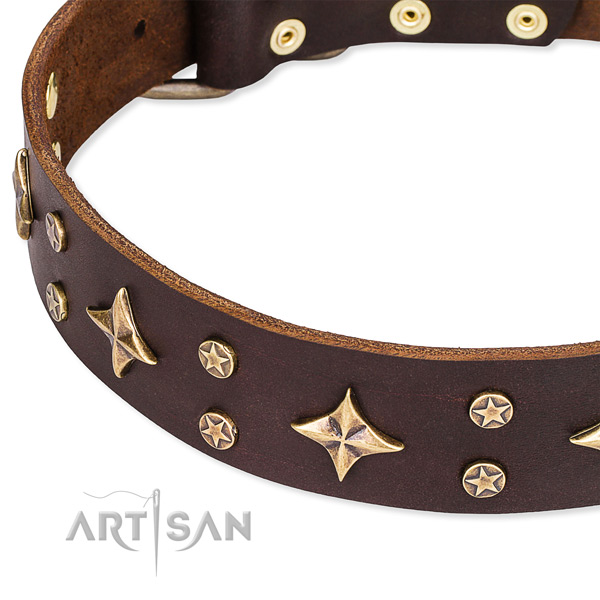 Comfortable wearing decorated dog collar of finest quality full grain genuine leather