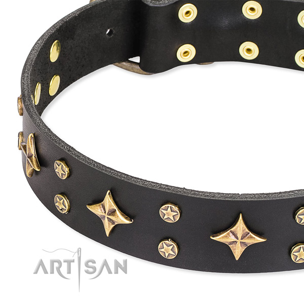 Daily use studded dog collar of best quality natural leather