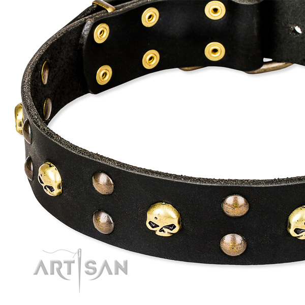 Daily use embellished dog collar of strong full grain genuine leather