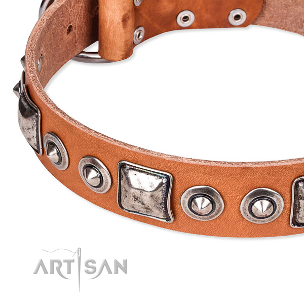 Soft full grain leather dog collar made for your beautiful dog
