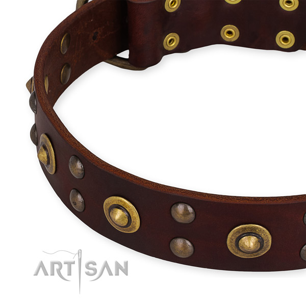 Full grain leather collar with corrosion resistant fittings for your beautiful dog