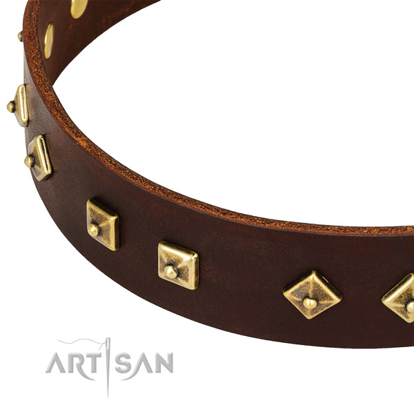 Best quality full grain natural leather collar for your impressive canine