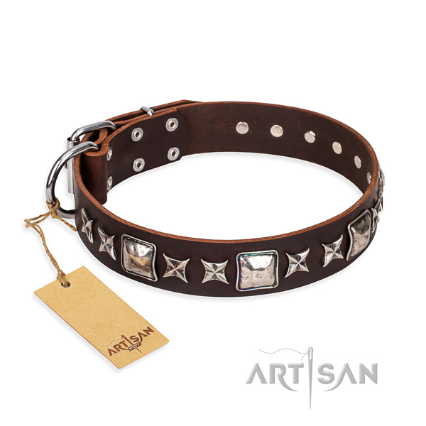 Fancy walking dog collar of high quality genuine leather with adornments