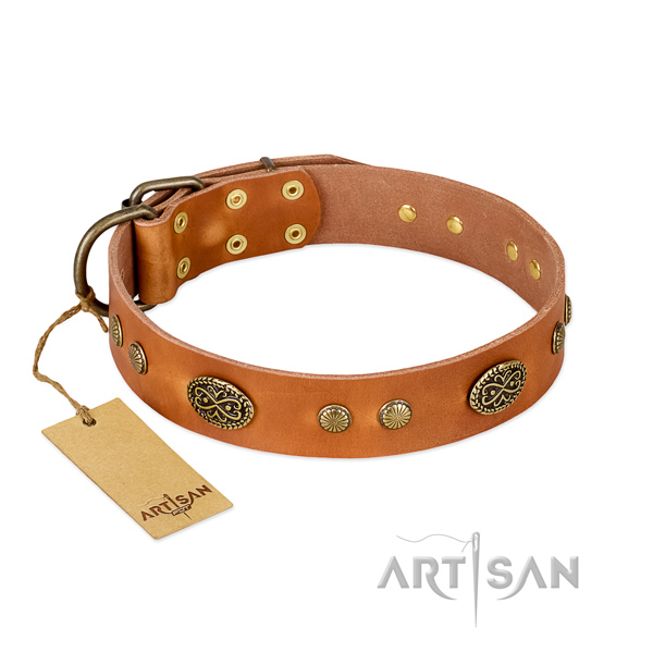 Corrosion proof studs on full grain genuine leather dog collar for your canine