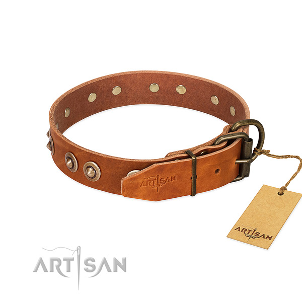 Rust-proof D-ring on genuine leather dog collar for your dog