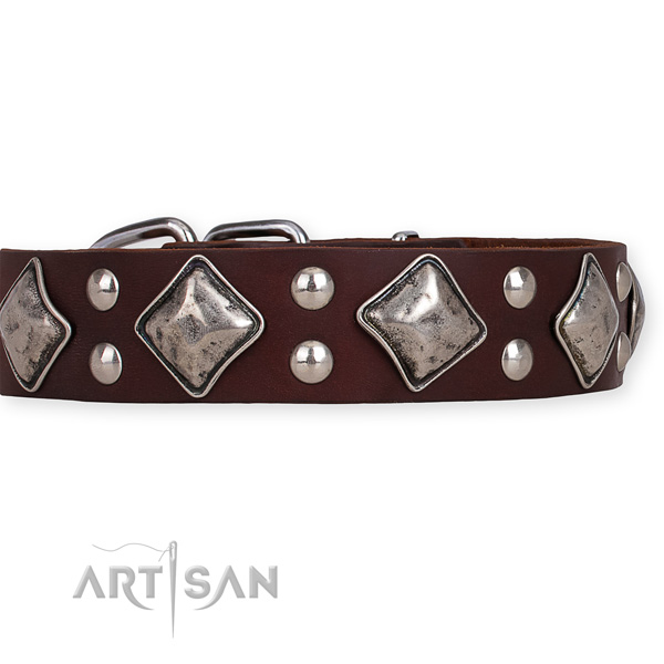 Full grain leather dog collar with significant strong decorations