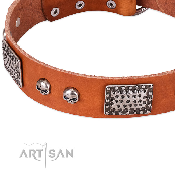 Rust resistant adornments on full grain leather dog collar for your four-legged friend