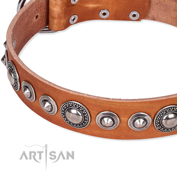 Daily walking decorated dog collar of durable full grain leather