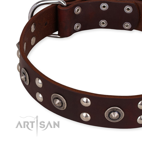 Leather collar with strong D-ring for your stylish pet