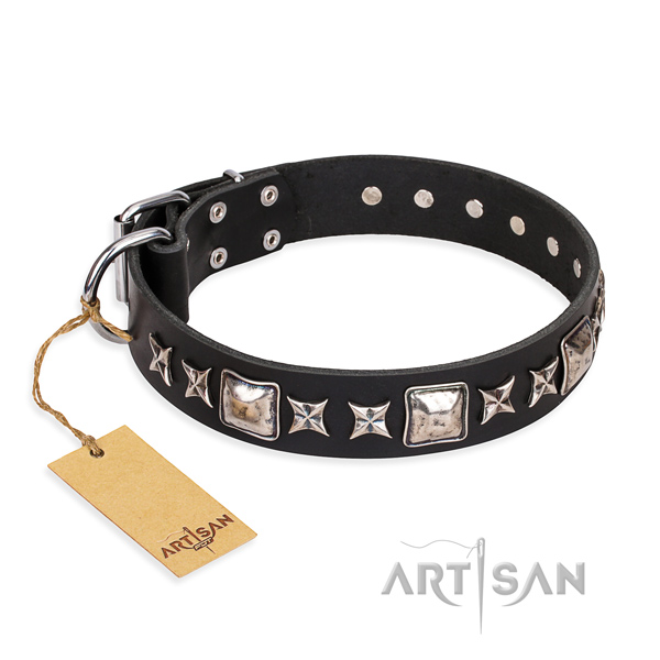 Comfortable wearing dog collar of best quality full grain natural leather with adornments